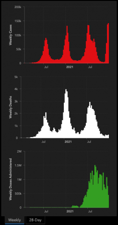 covid_southafrica.png, Dec 2021